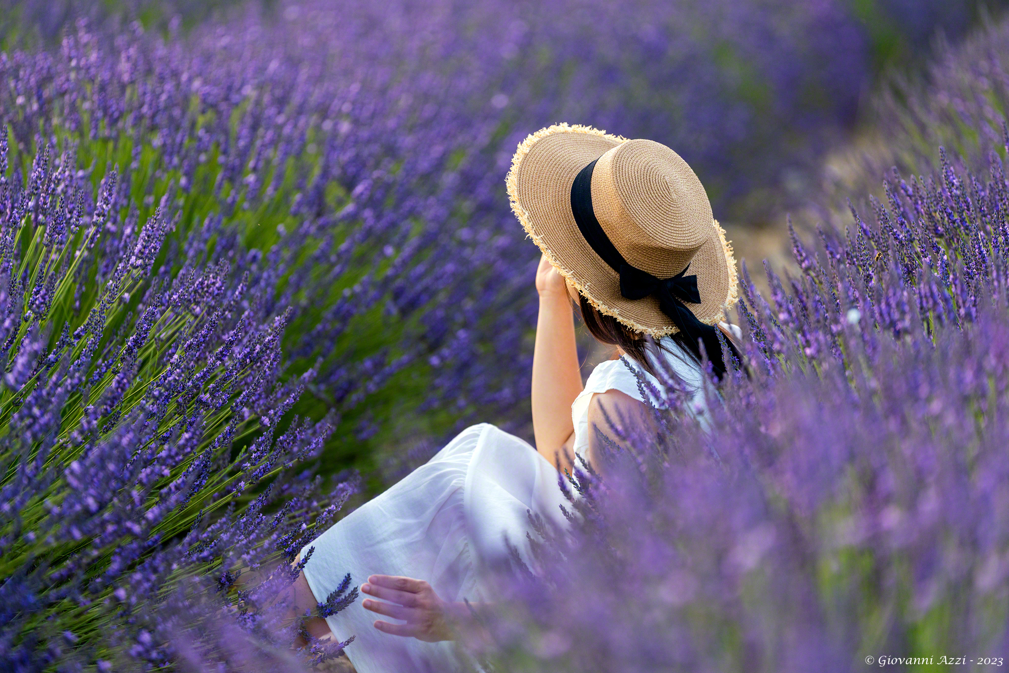 Eleonora among lavender 4...