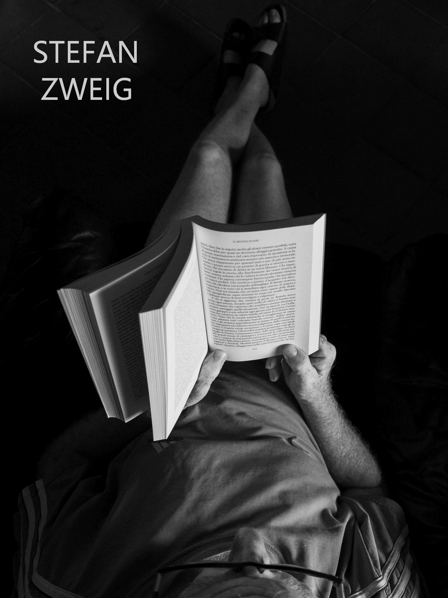 Lettura di un libro di Zweig...