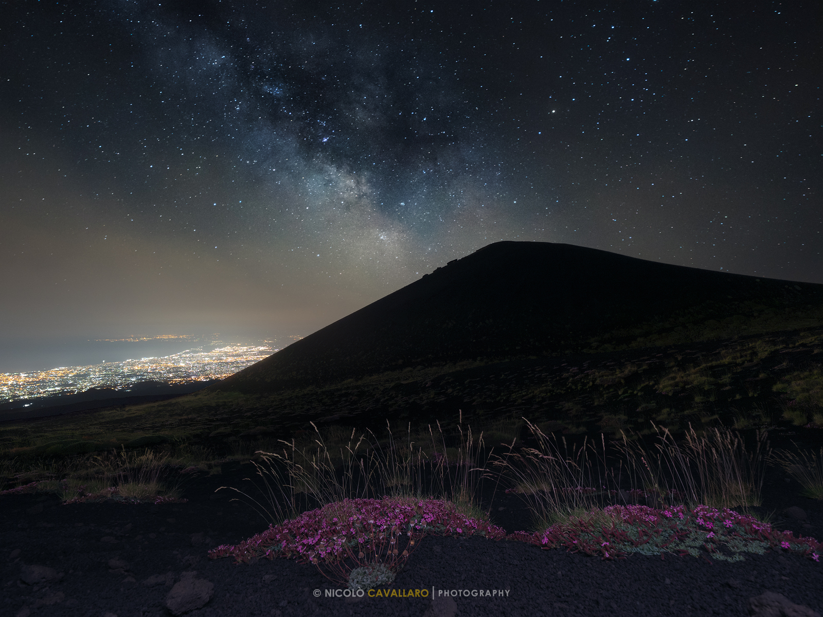 Milky Way with Saponaria dell'Etna...