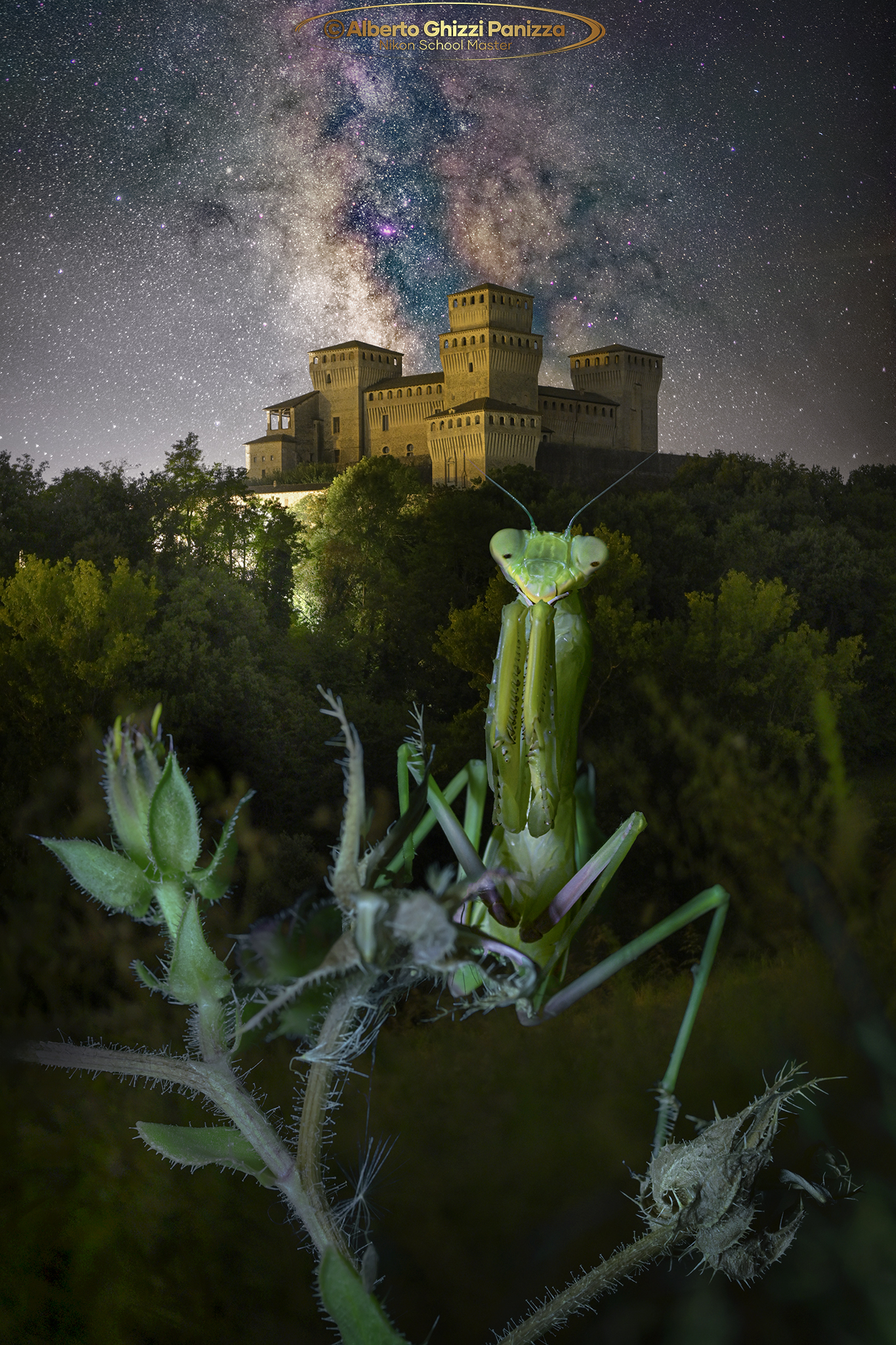 The mantis, the castle and the Milky Way...