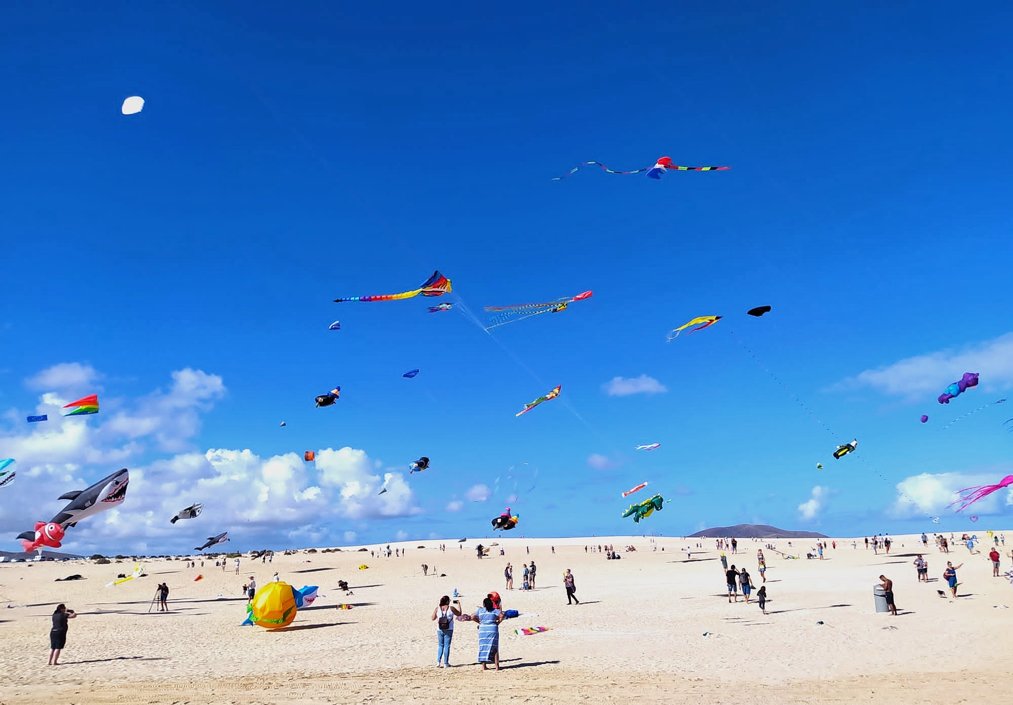 Kite Festival in Fuerteventura ...