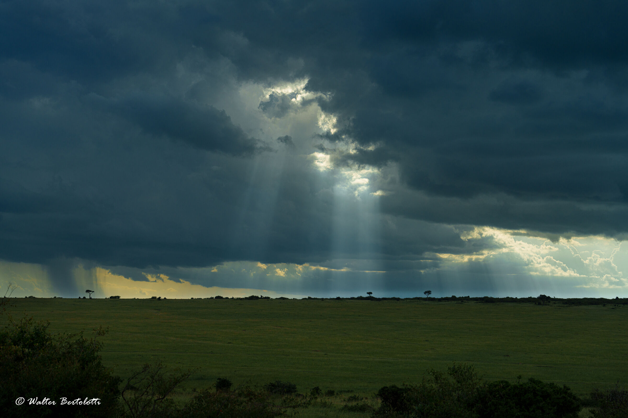 light of the Masai Mara...