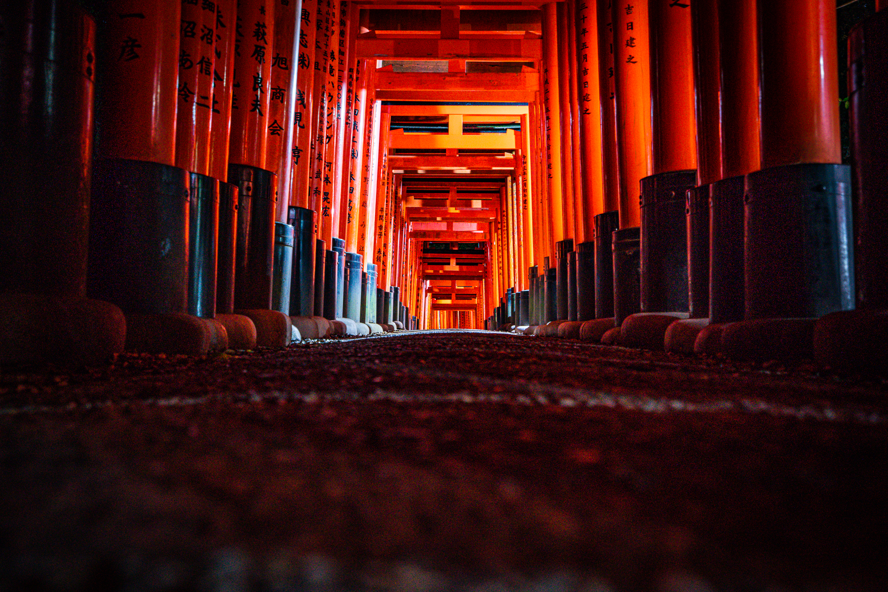Fushimi Inari...